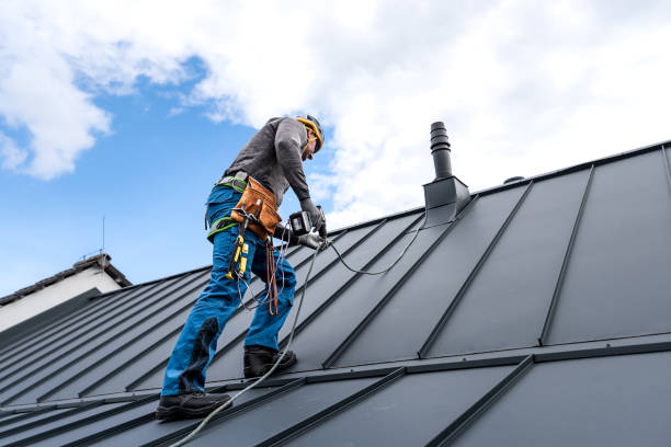 Best Roof Coating and Sealing  in Dowagiac, MI