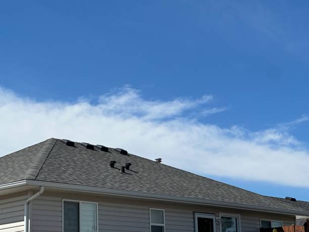  Dowagiac, MI Roofing Service Pros